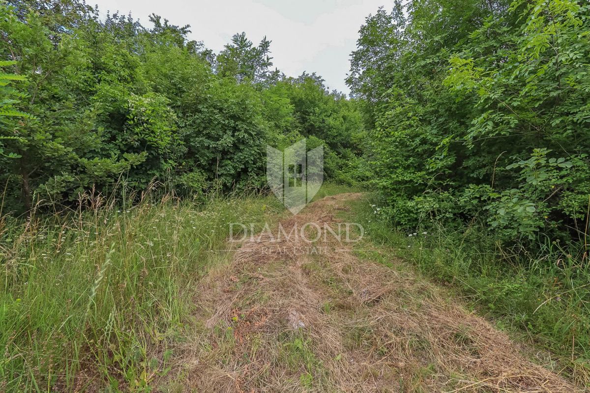 Un antico da ristrutturare nella natura non lontano da Gimino