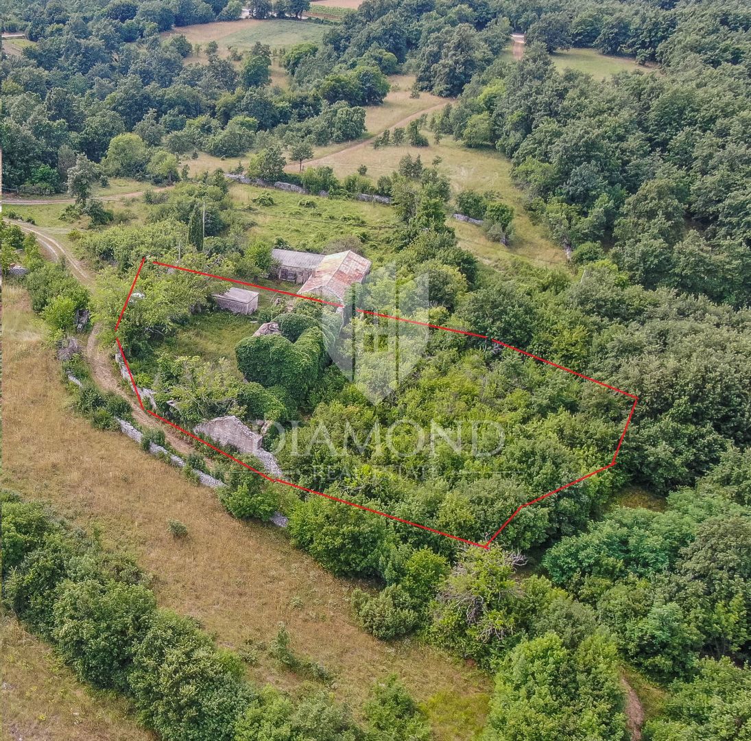 Un antico da ristrutturare nella natura non lontano da Gimino