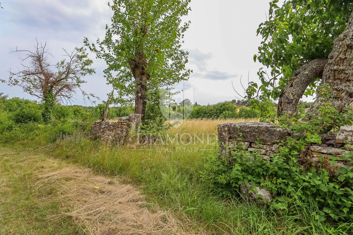 Un antico da ristrutturare nella natura non lontano da Gimino