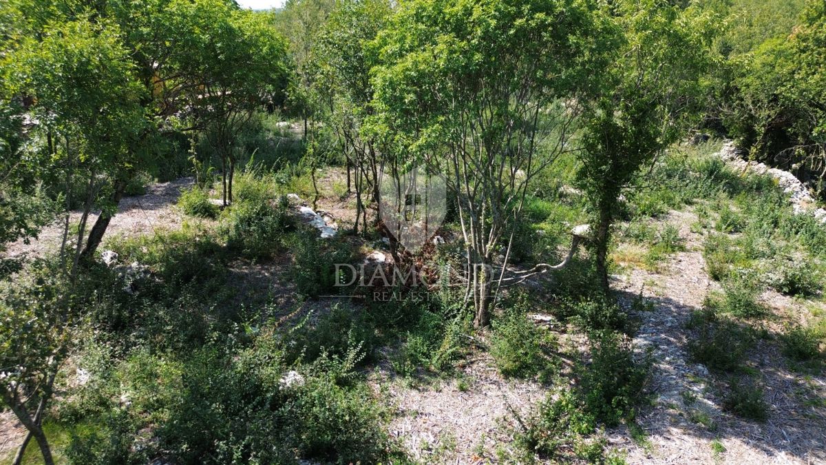 Labin, terreno edificabile in una bella posizione