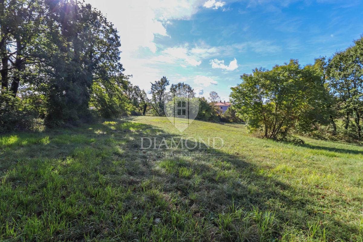 Žminj, OCCASIONE, ampio terreno edificabile