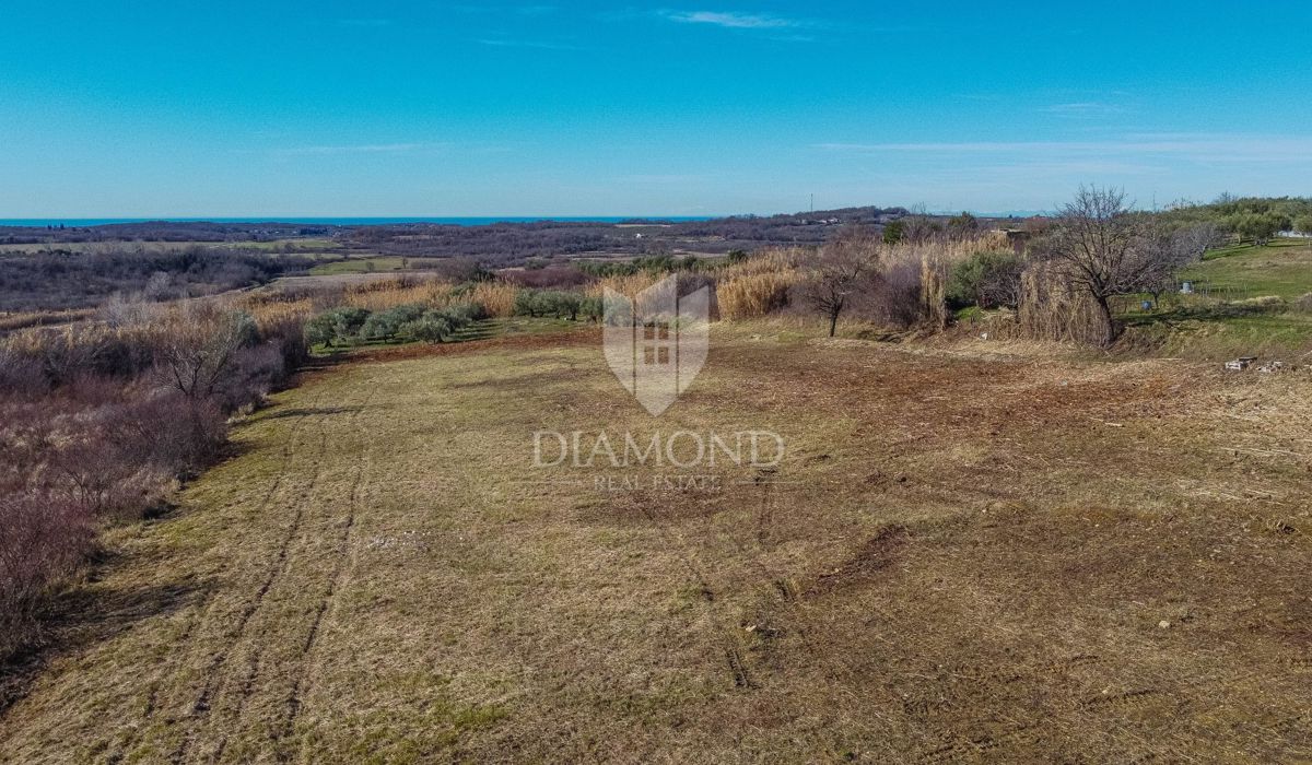 Terreno Buje, 4.125m2