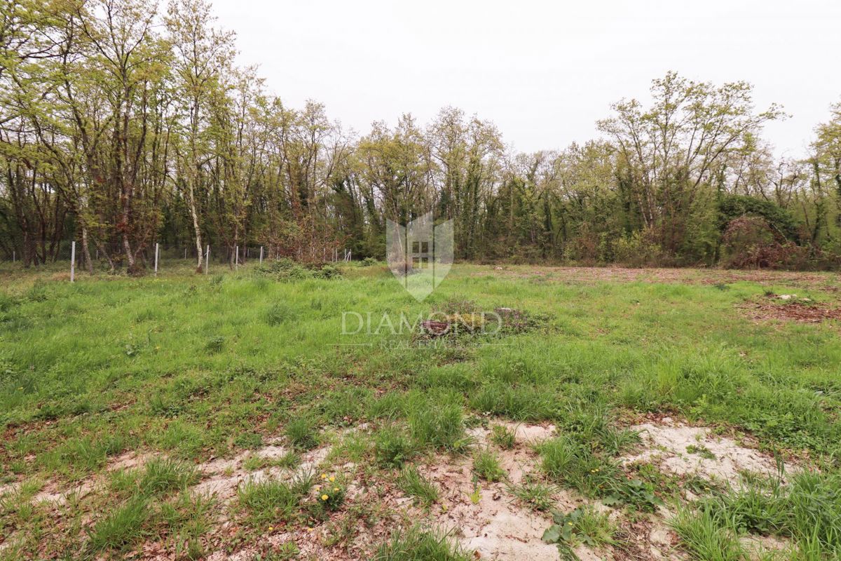 Terreno con permesso di costruire in un ambiente idilliaco!