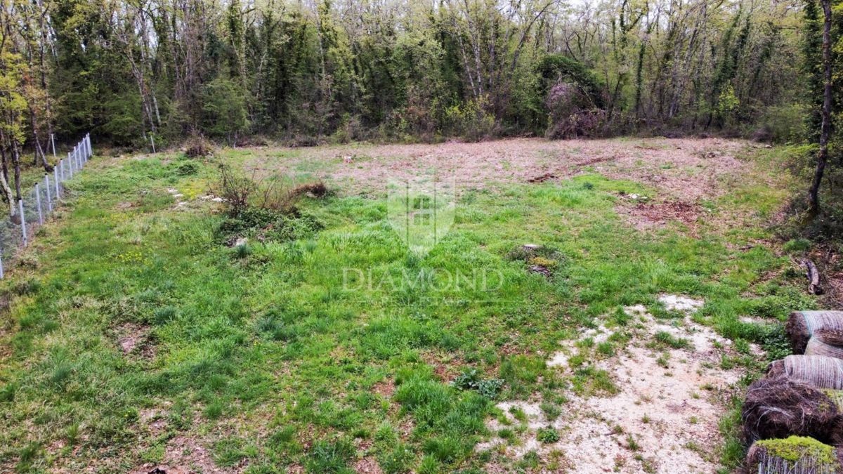 Terreno con permesso di costruire in un ambiente idilliaco!