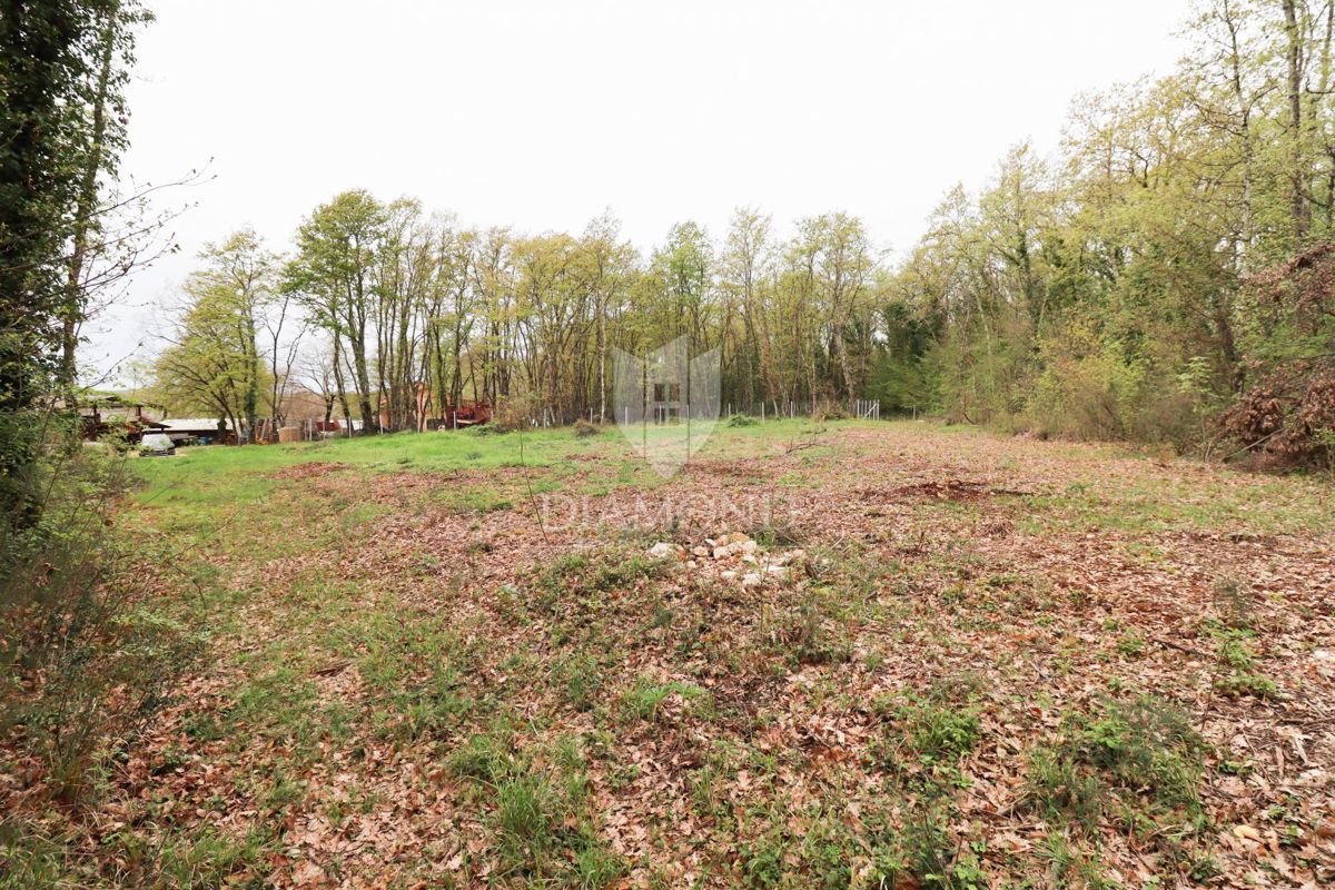 Terreno con permesso di costruire in un ambiente idilliaco!