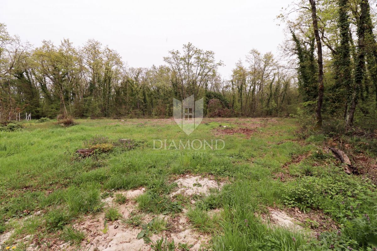 Terreno con permesso di costruire in un ambiente idilliaco!