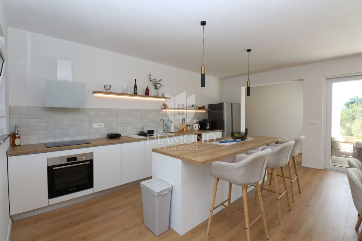 Labin, dintorni, nuova costruzione con piscina immersa nella natura