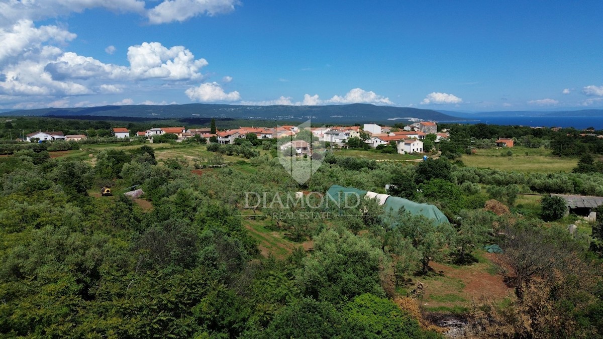 Marčana, dintorni, terreno edificabile-agricolo vicino al mare 