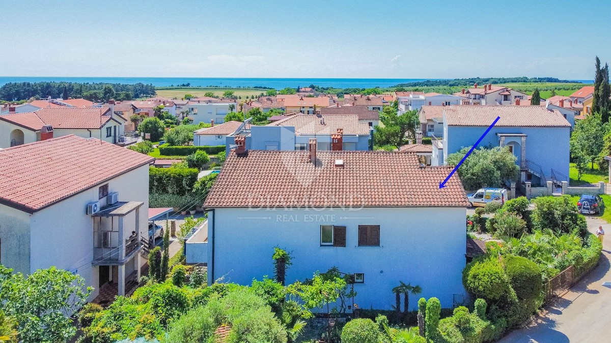 Casa Novigrad, 245m2