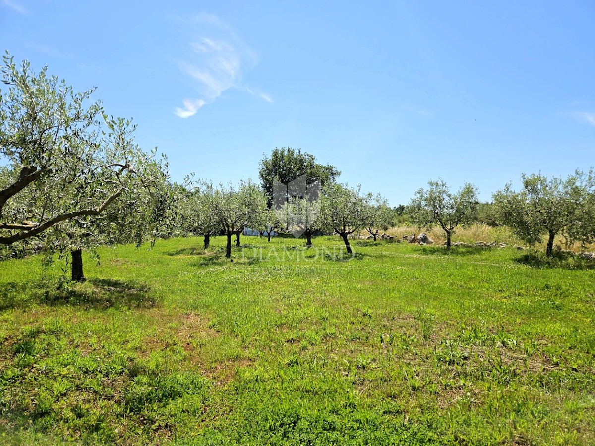 Terreno con progetto e permesso di costruire, vicino a Parenzo