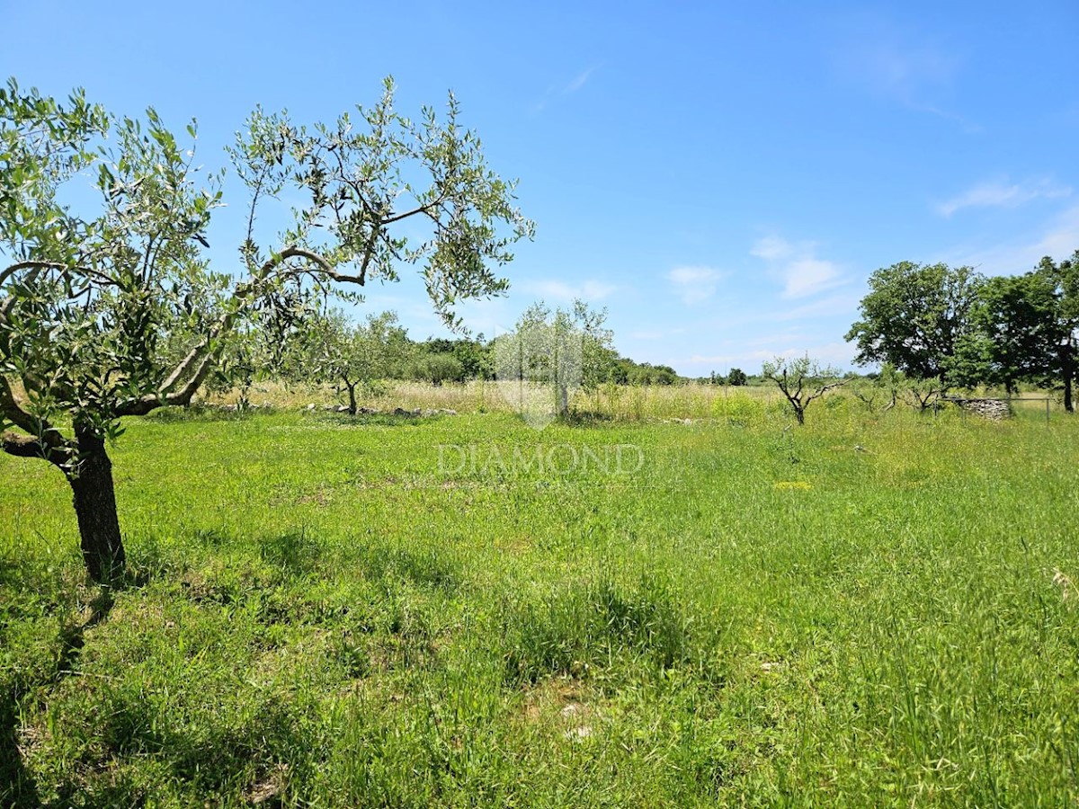 Terreno con progetto e permesso di costruire, vicino a Parenzo