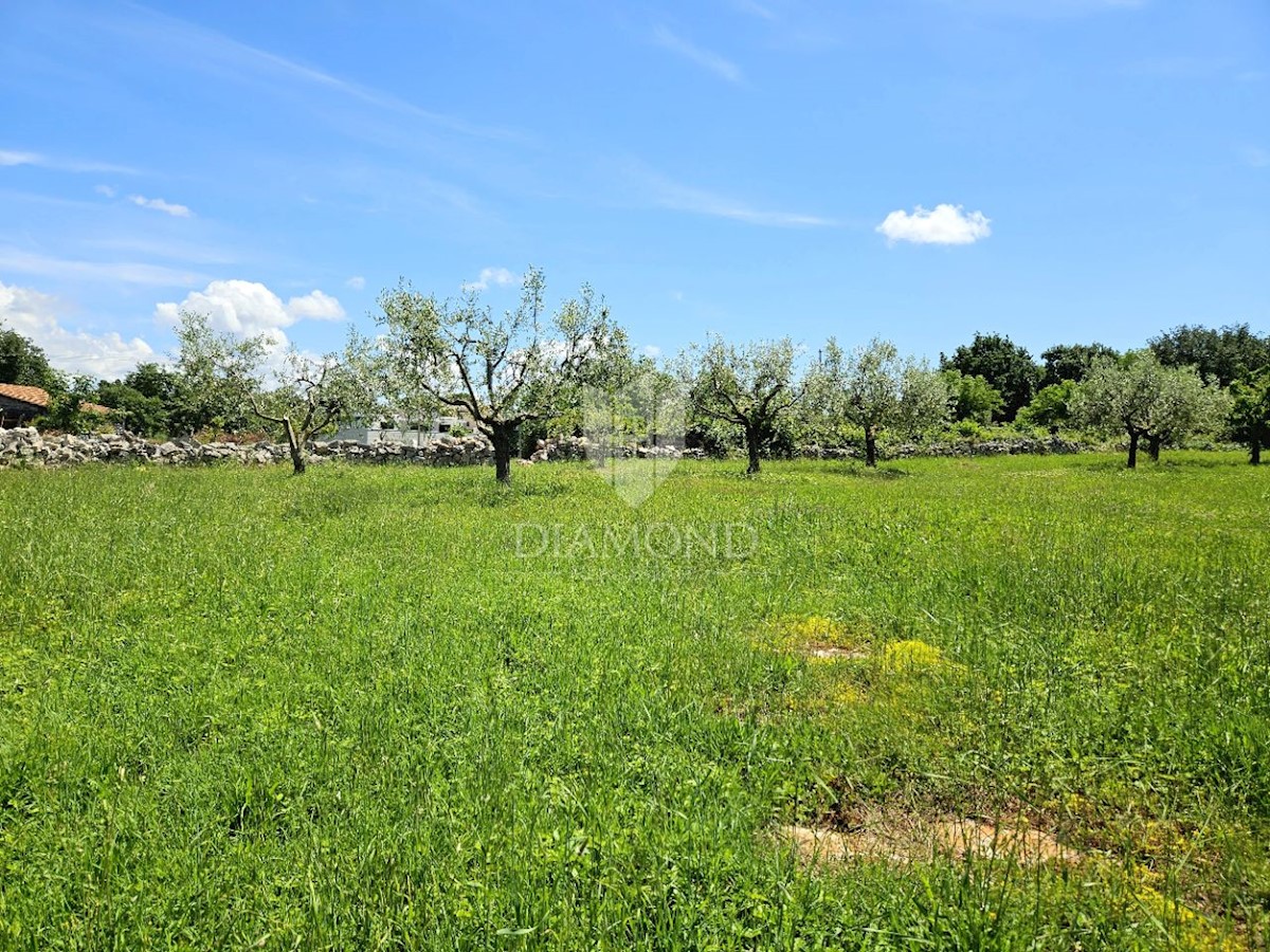 Terreno con progetto e permesso di costruire, vicino a Parenzo