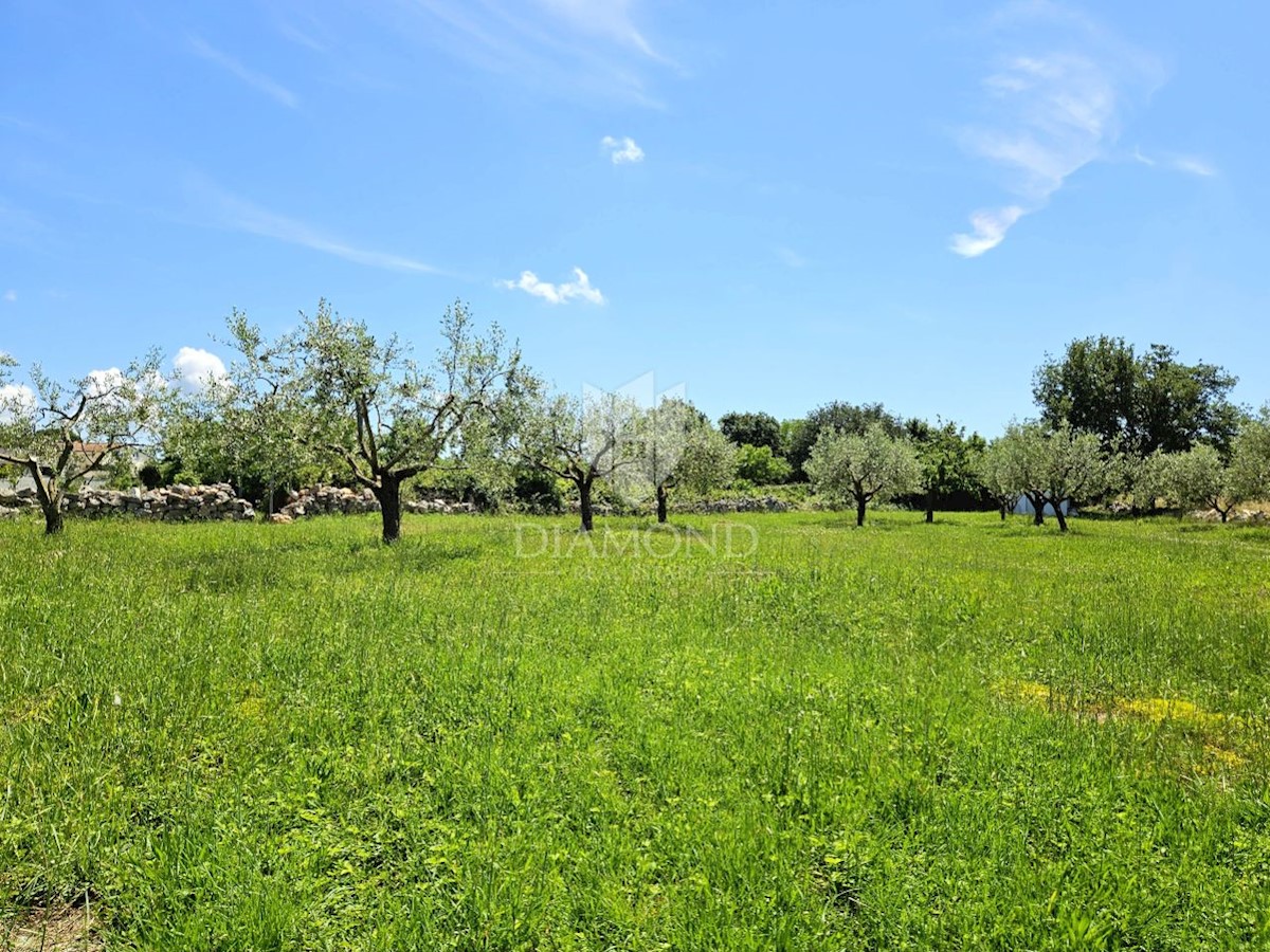 Terreno con progetto e permesso di costruire, vicino a Parenzo