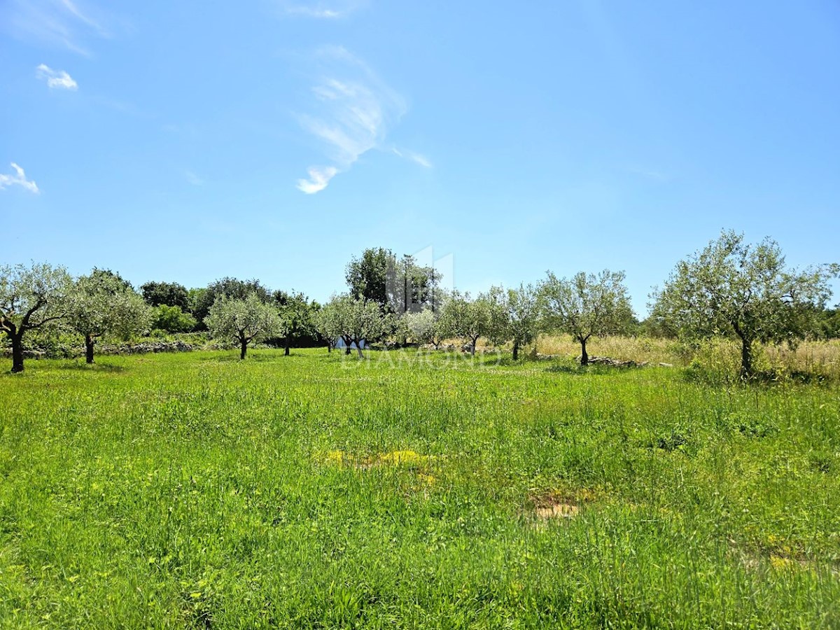 Terreno con progetto e permesso di costruire, vicino a Parenzo