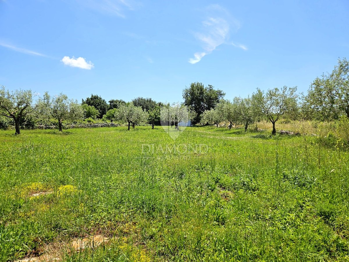 Terreno con progetto e permesso di costruire, vicino a Parenzo