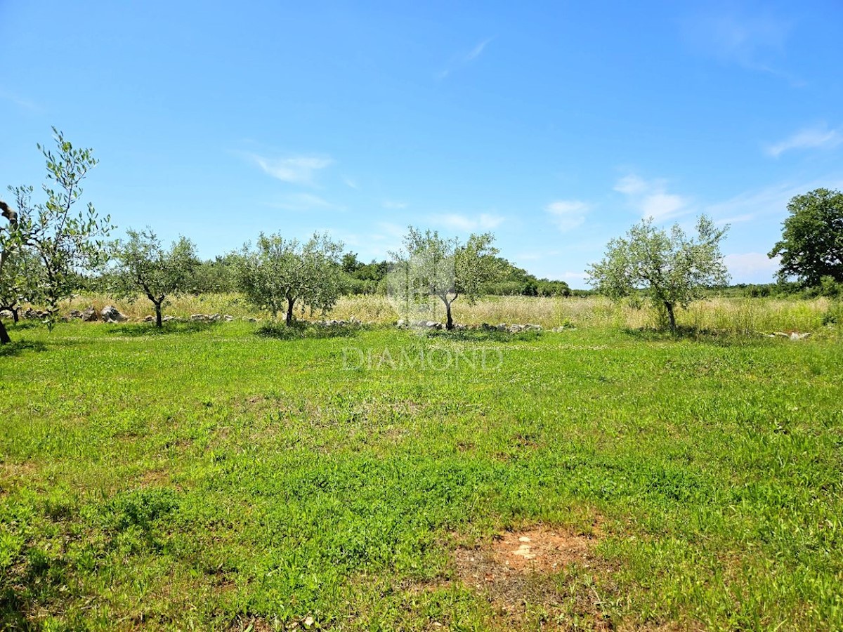 Terreno con progetto e permesso di costruire, vicino a Parenzo