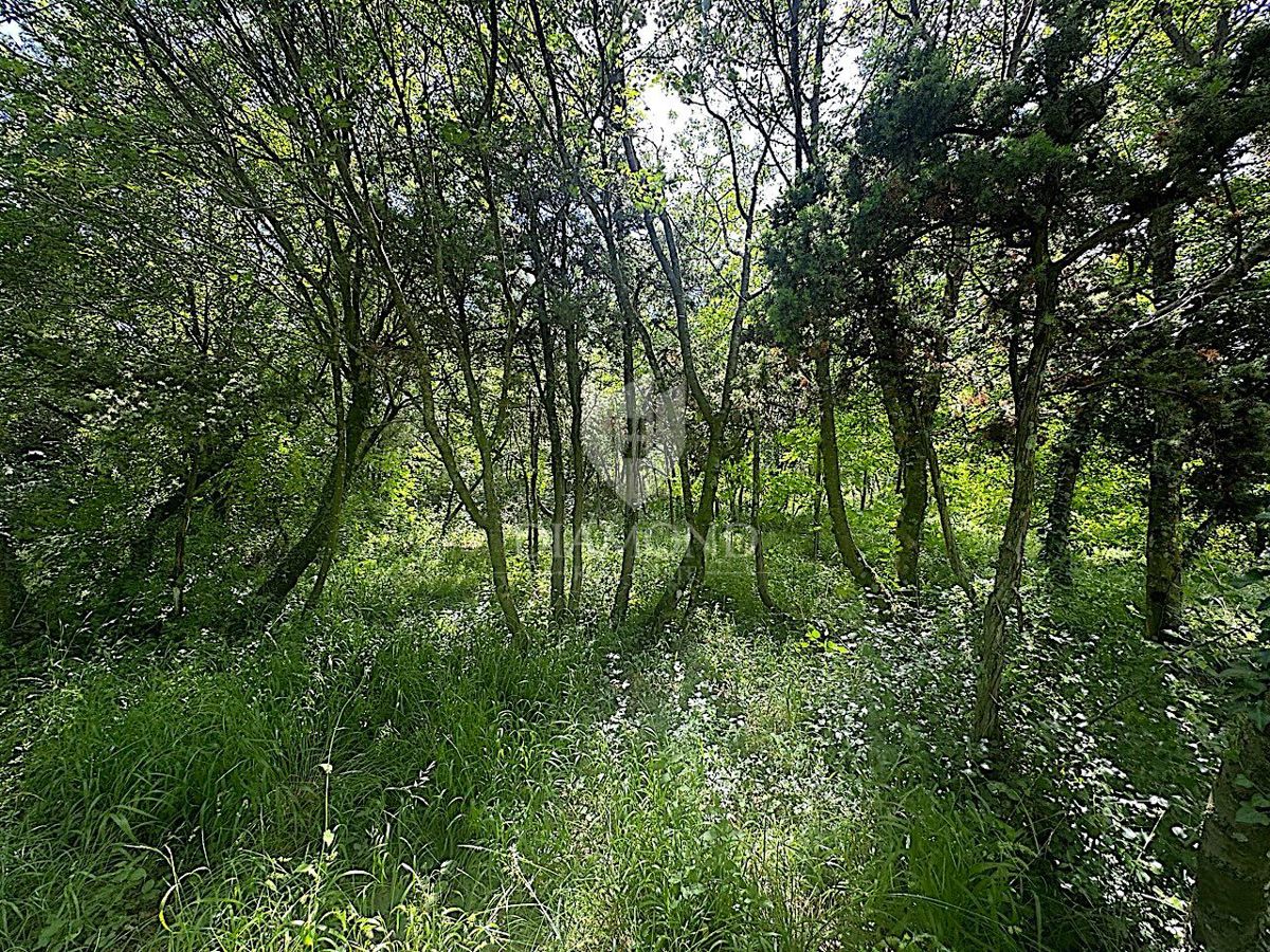 Labin, terreno edificabile in una posizione TOP nella città