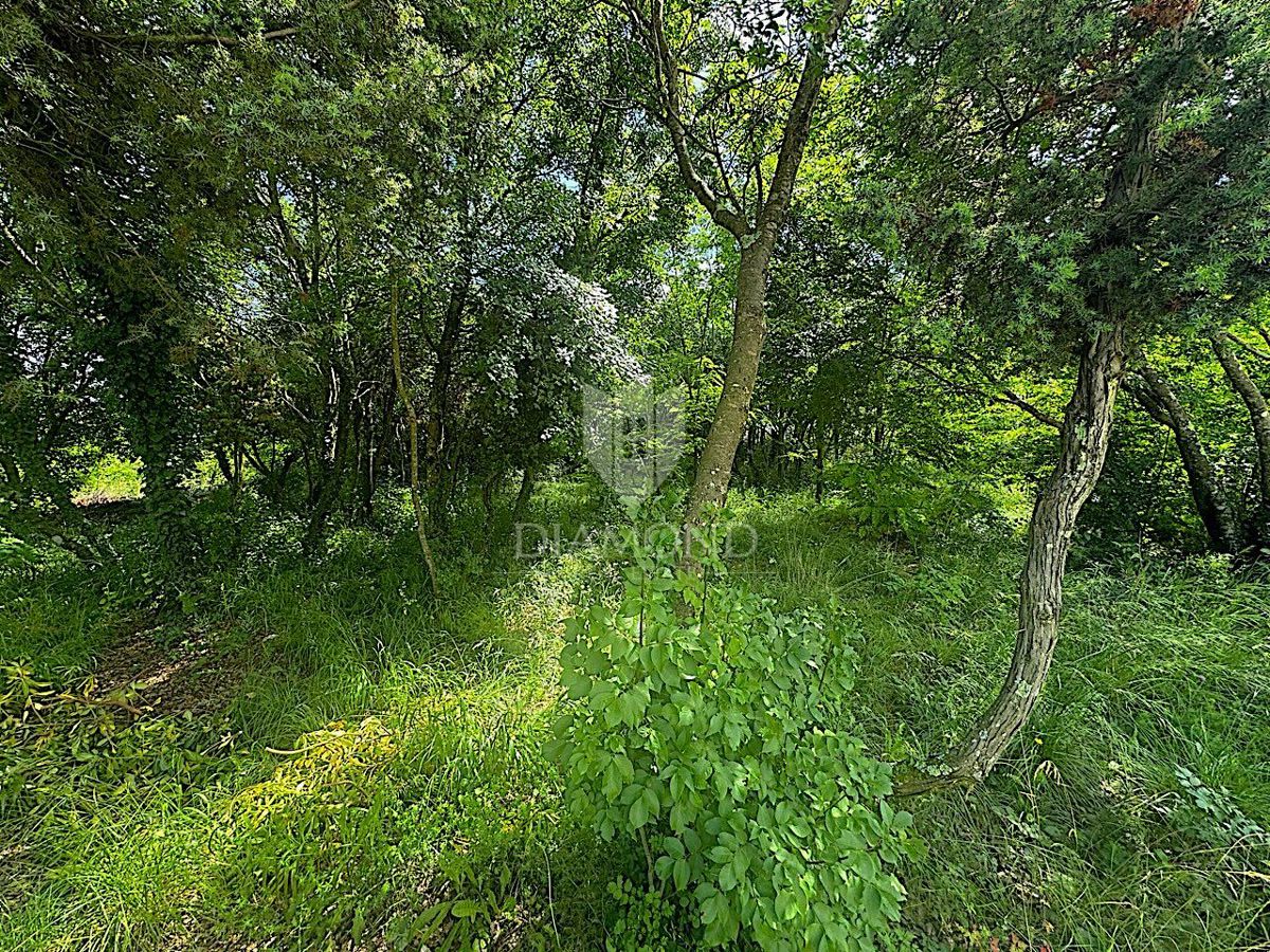 Labin, terreno edificabile in una posizione TOP nella città