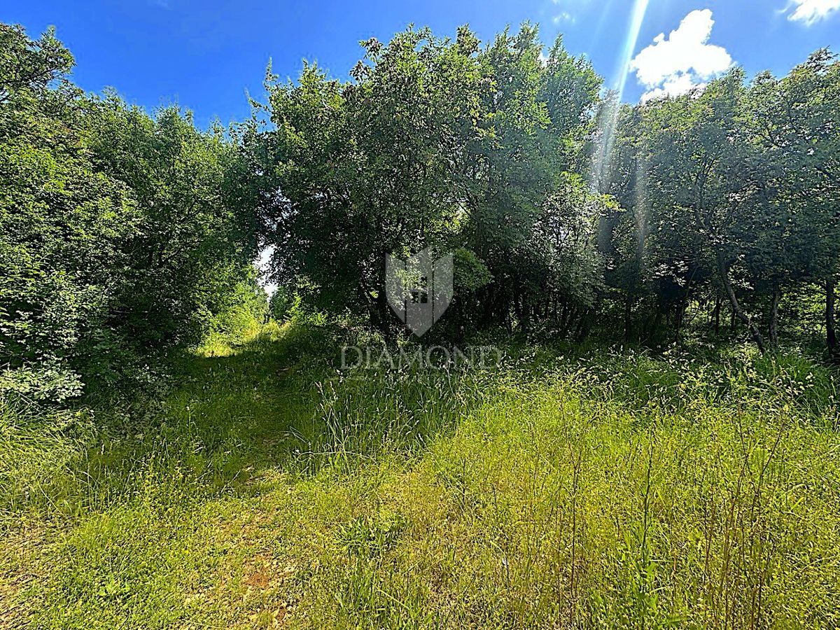 Labin, terreno edificabile in una posizione TOP nella città