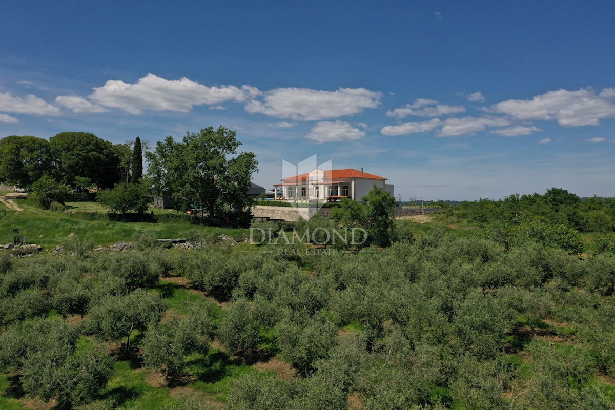 Parenzo, Dintorni, Villa Unica con Piscina