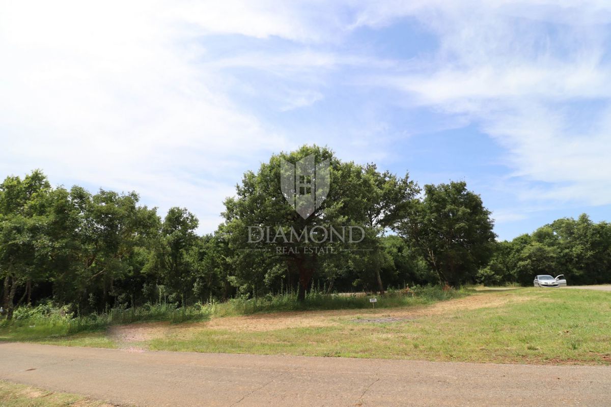 Terreno con progetto concettuale per tren case unifamiliari