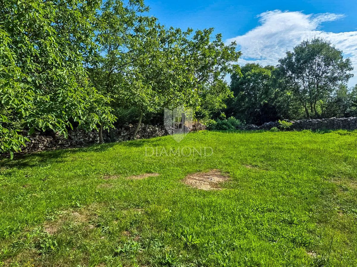 Canfanaro, dintorni, antico da ristrutturare con cortile