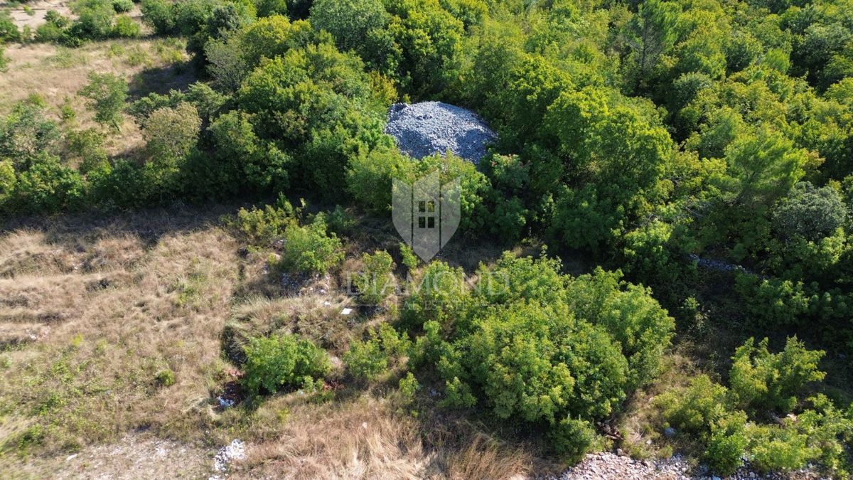 Albona, terreno edificabile con vista mare 