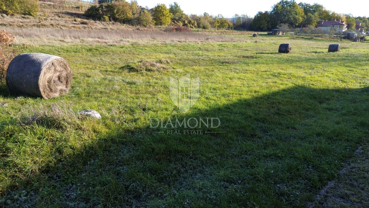 Terreno Pićan, 2.941m2