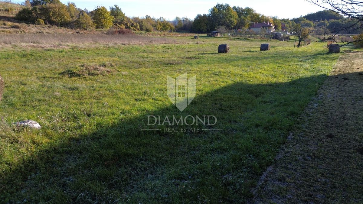 Terreno Pićan, 2.941m2