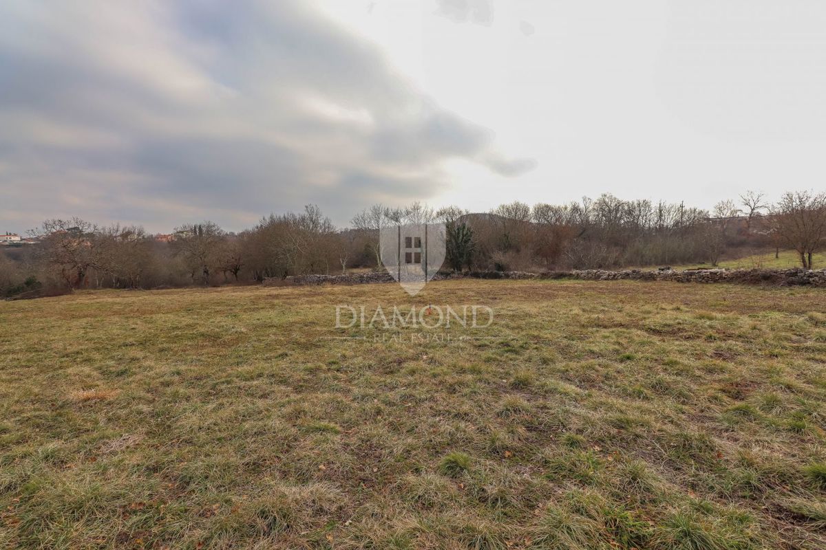  Un terreno con permesso di costruzione vicino a Rovigno.