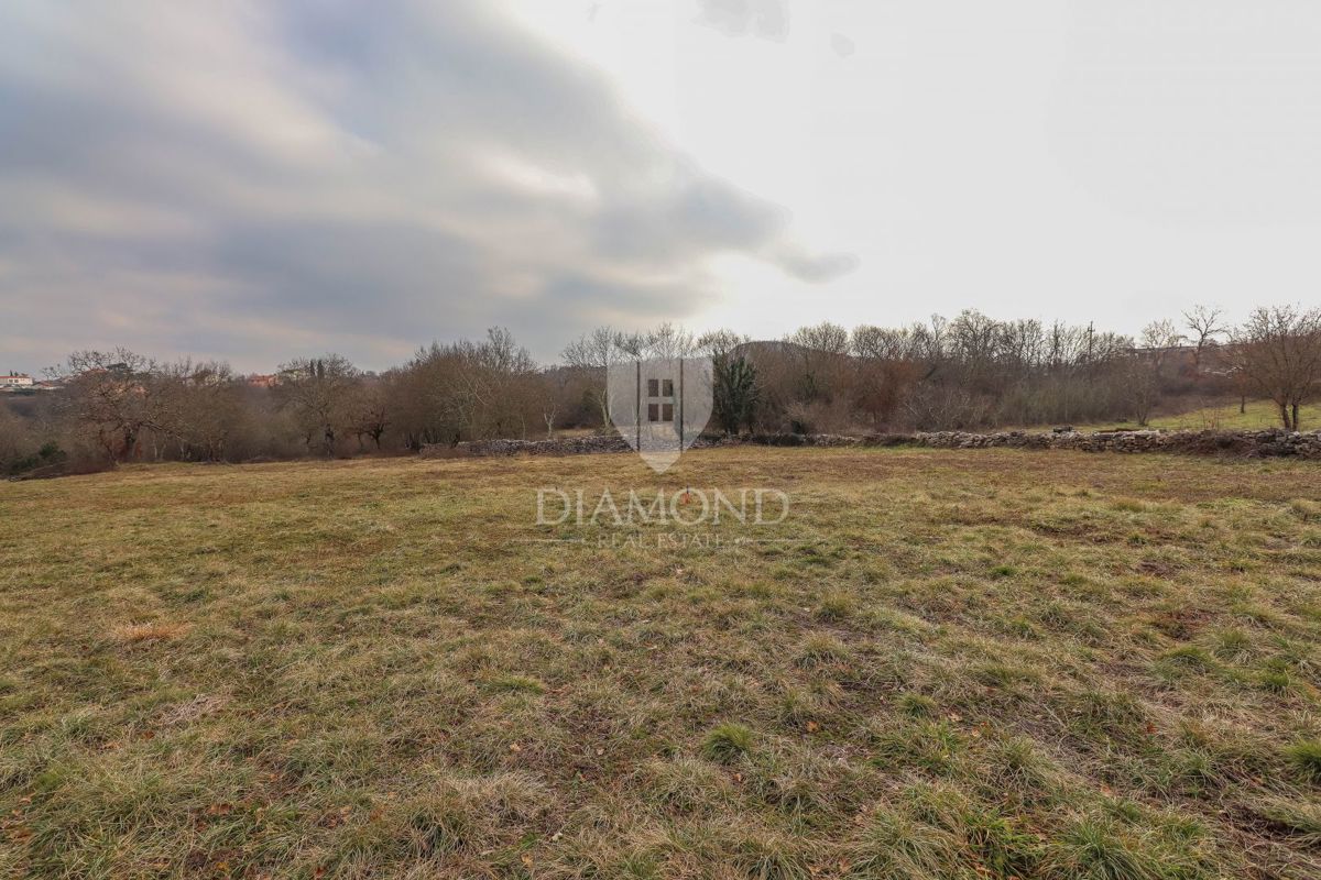  Un terreno con permesso di costruzione vicino a Rovigno.