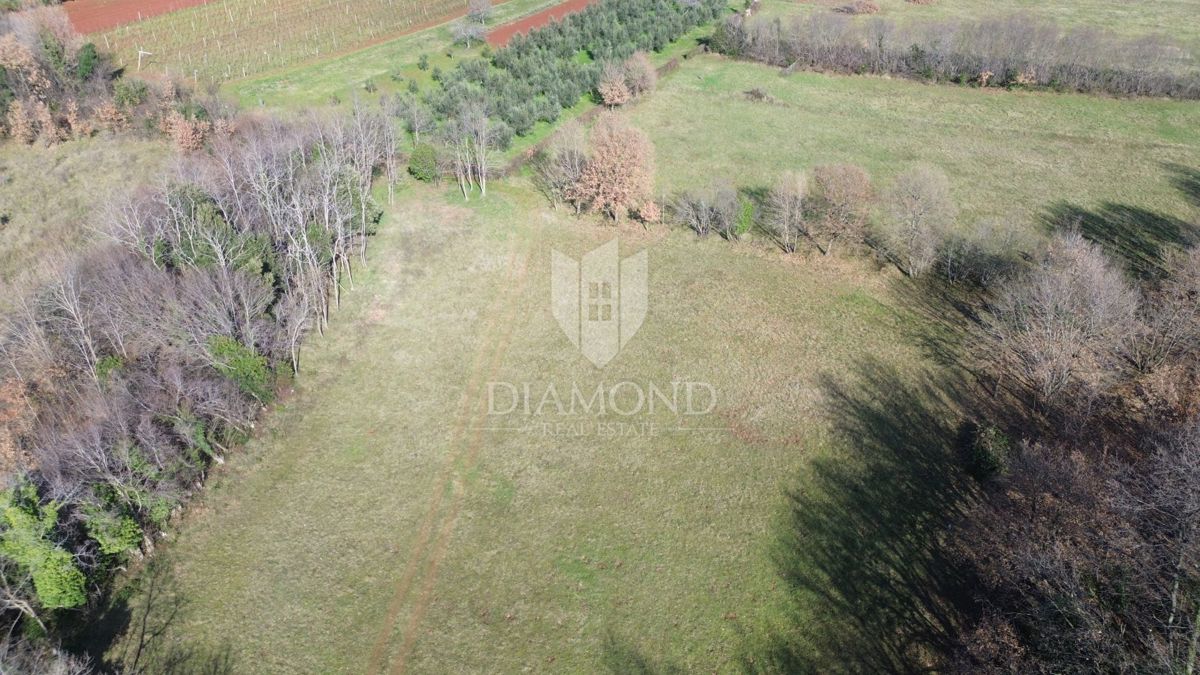 Grande terreno edificabile vicino al mare