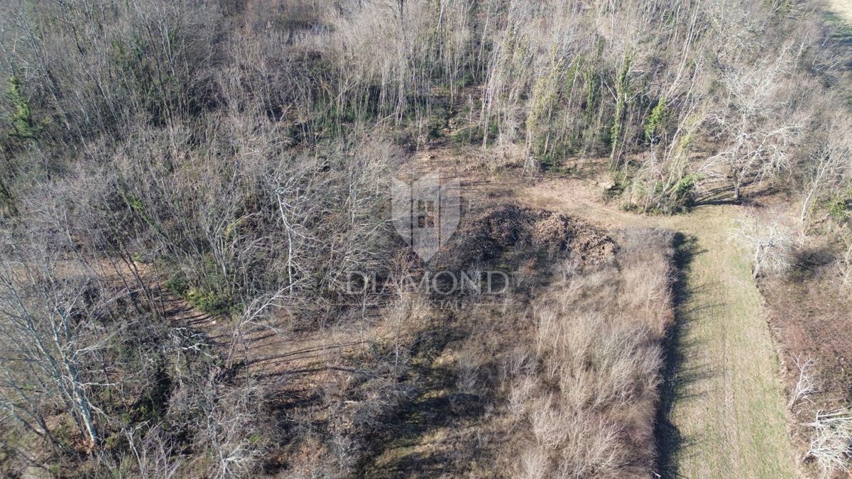 Pićan, ampio terreno edificabile con vista aperta 