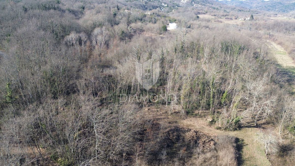 Pićan, ampio terreno edificabile con vista aperta 