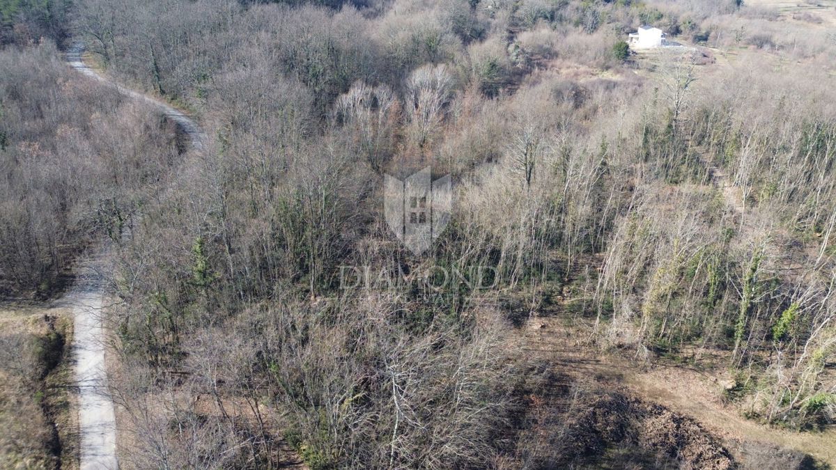 Pićan, ampio terreno edificabile con vista aperta 