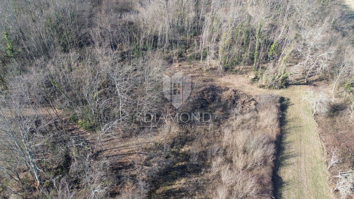 Pićan, ampio terreno edificabile con vista aperta 