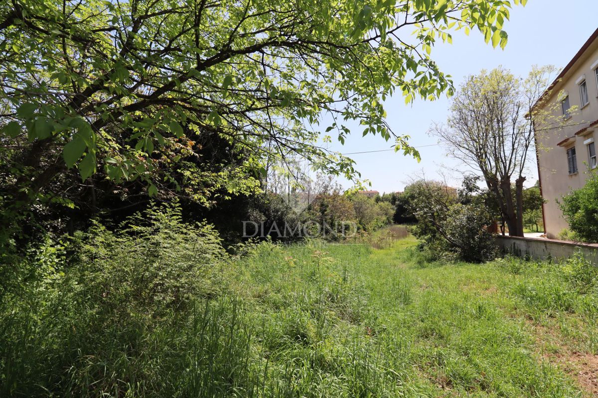 Terreno edificabile a Dignano: ottima opportunità! 