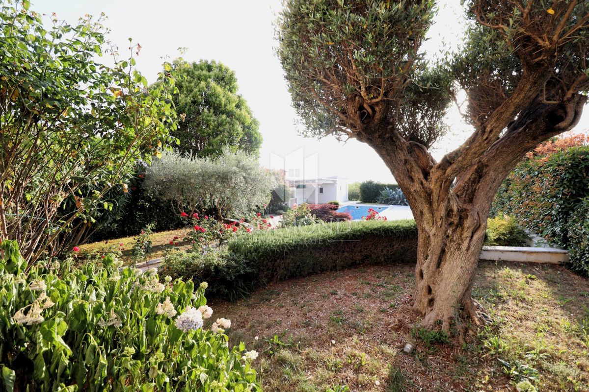 Autentica villa istriana vicino a Parenzo – investimento minimo richiesto