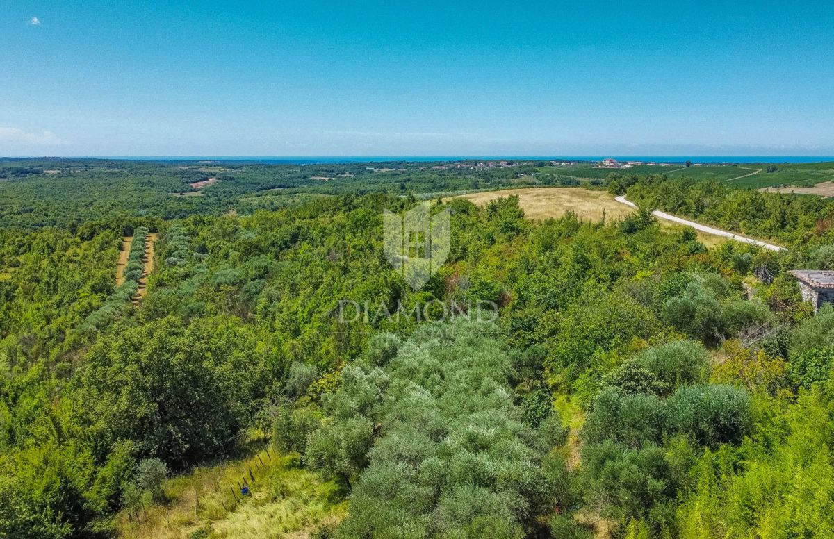 Buie, Crassiza, terreno 2.000 m² con vista aperta e progetto!