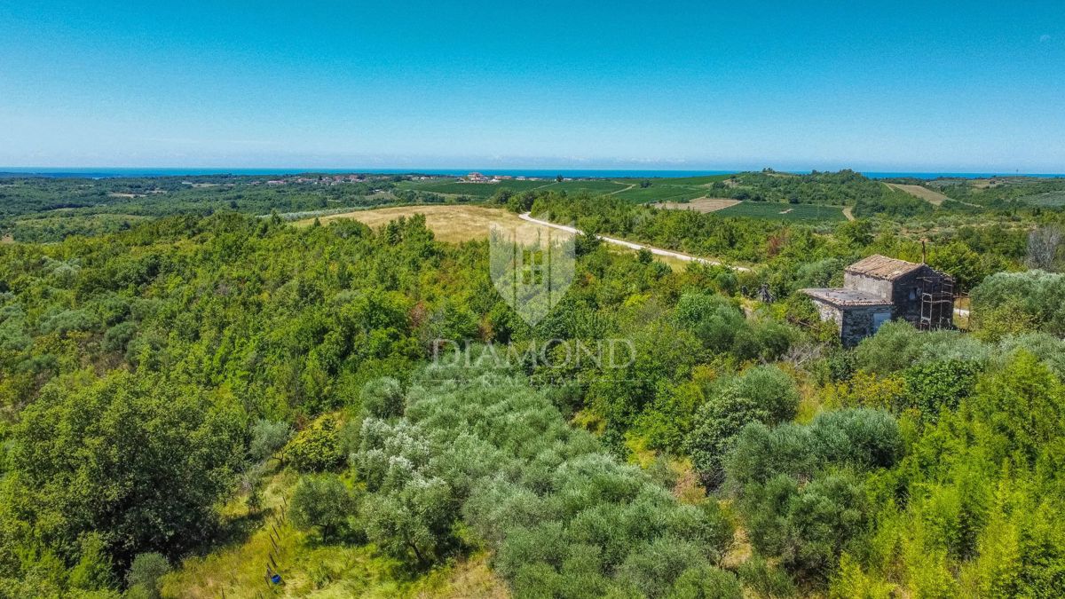 Buie, Crassiza, terreno 2.000 m² con vista aperta e progetto!