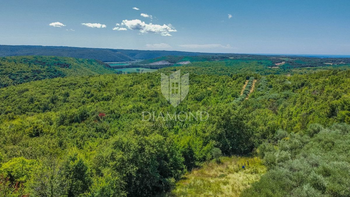 Buie, Crassiza, terreno 2.000 m² con vista aperta e progetto!