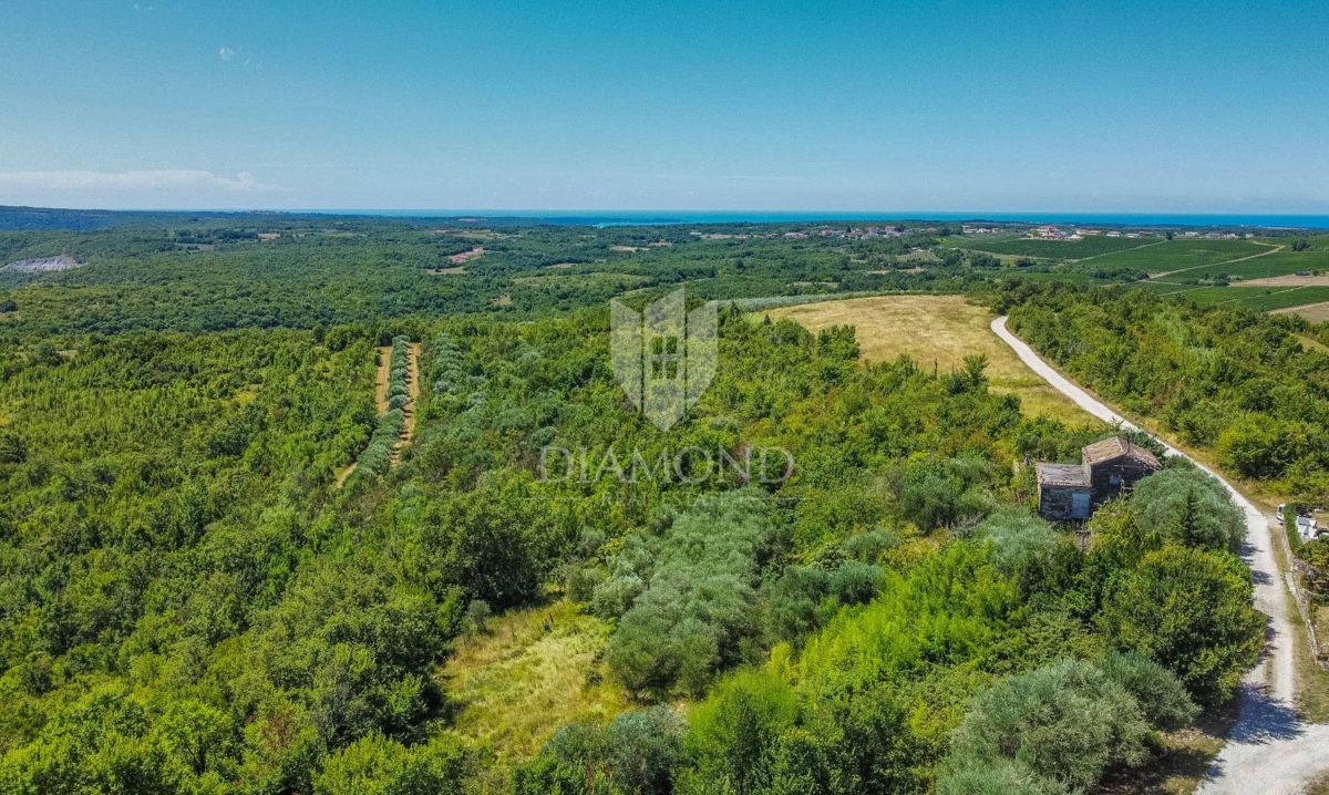 Buie, Crassiza, terreno 2.000 m² con vista aperta e progetto!