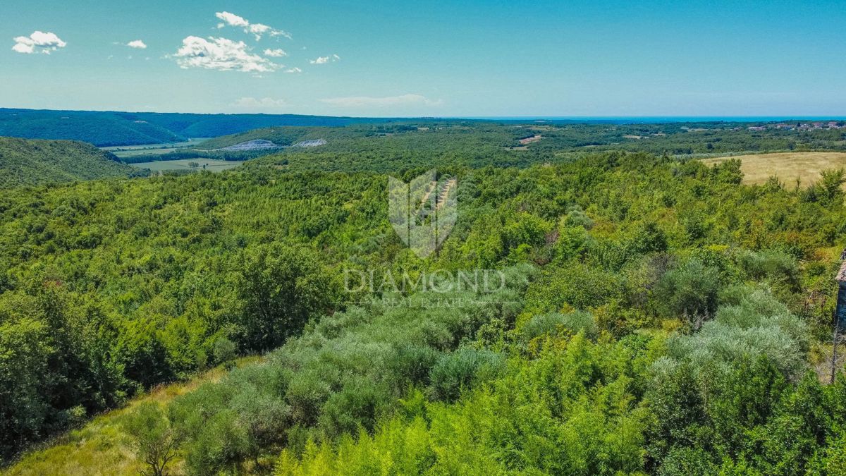 Buie, Crassiza, terreno 2.000 m² con vista aperta e progetto!