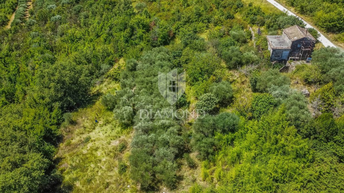 Buie, Crassiza, terreno 2.000 m² con vista aperta e progetto!