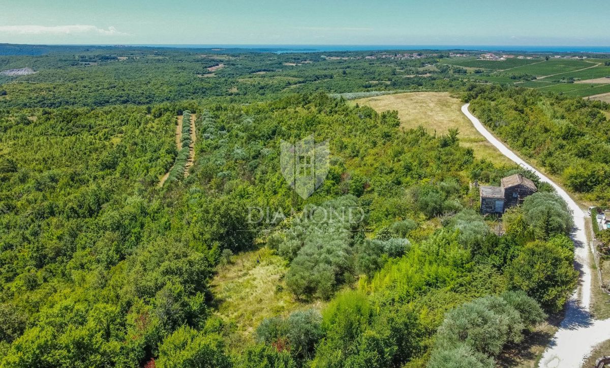 Buie, Crassiza, terreno 2.000 m² con vista aperta e progetto!