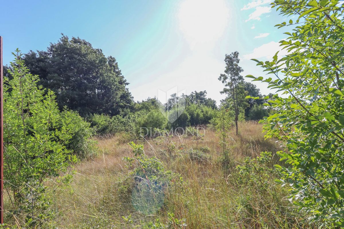 Canfanaro, dintorni, terreni edificabili e agricoli