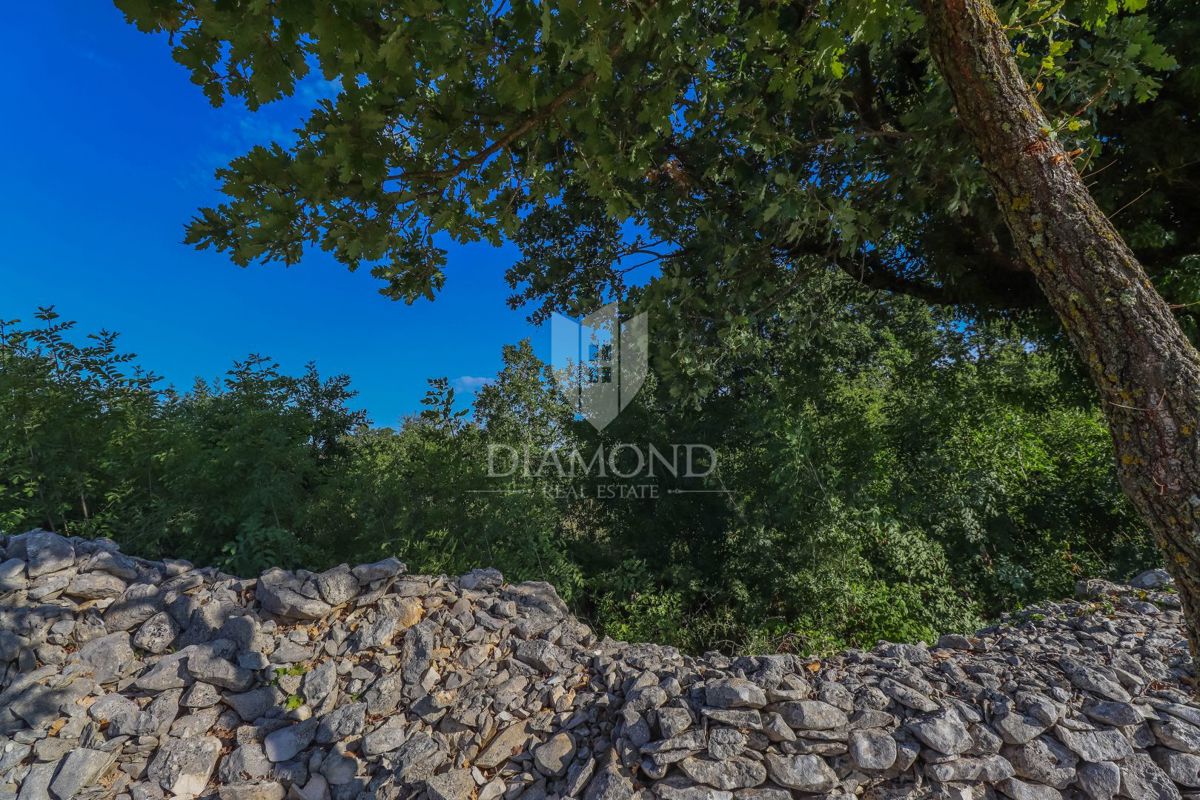 Canfanaro, dintorni, terreni edificabili e agricoli