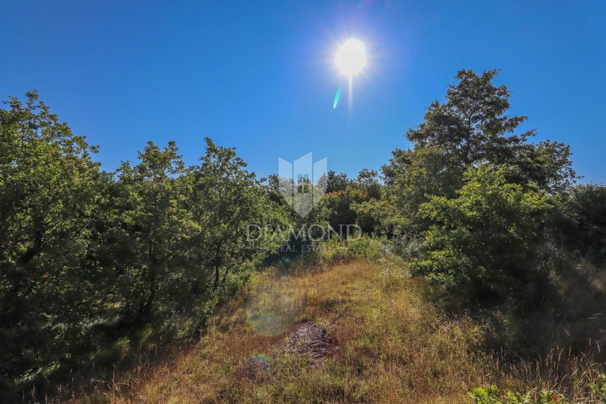 Opportunità a Svetvinčenat! Terreno con allacciamenti per elettricità e acqua!