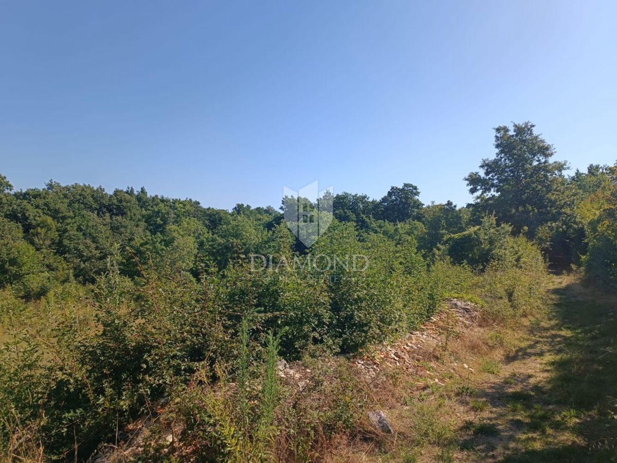 Opportunità a Svetvinčenat! Terreno con allacciamenti per elettricità e acqua!