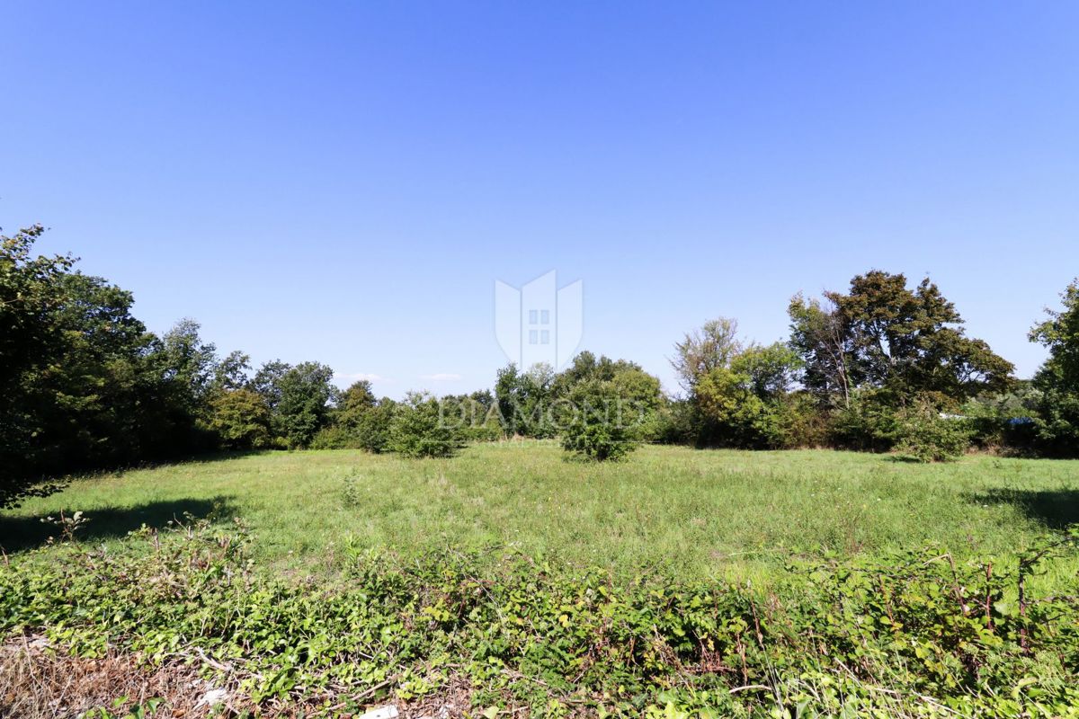 Dignano, dintorni - ottimo terreno edificabile!